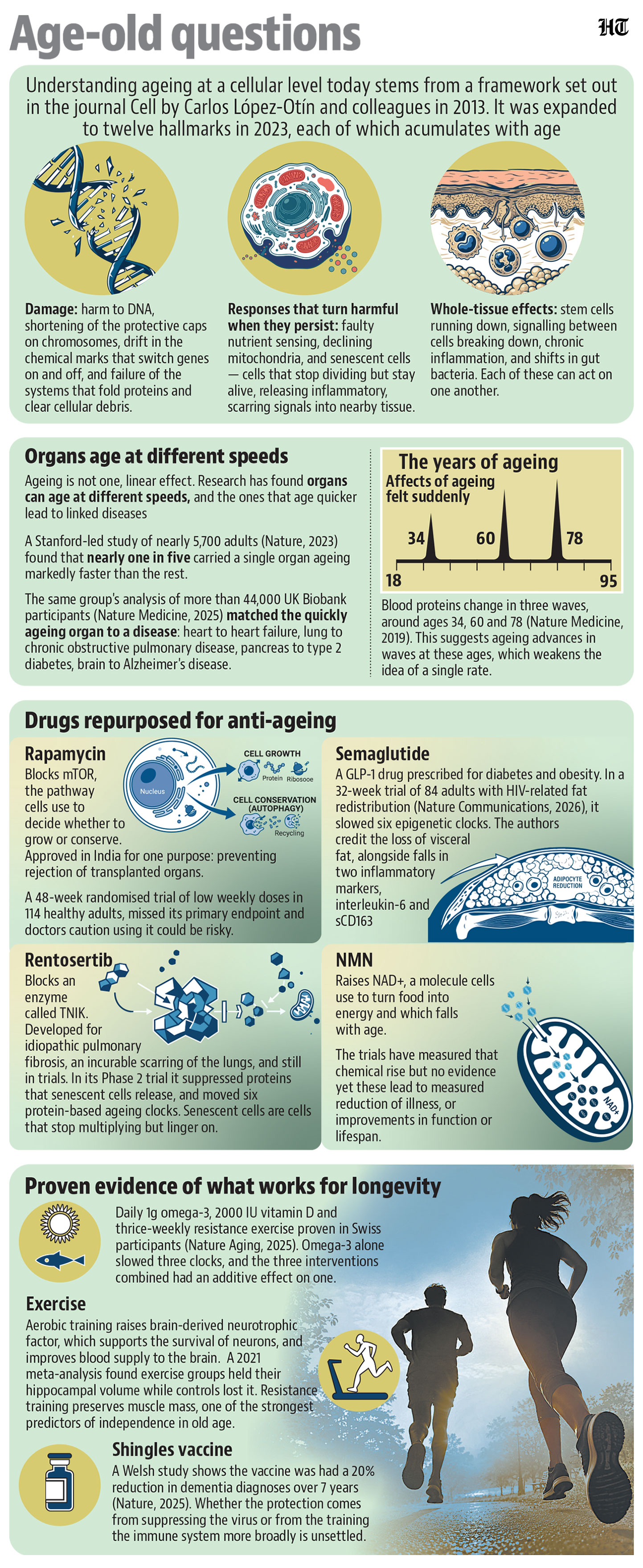 From proteins in a blood sample, they can now estimate the age of one organ at a time, because some of those proteins come mainly from a single organ. From proteins in a blood sample, they can now estimate the age of one organ at a time, because some of those proteins come mainly from a single organ.