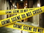The deceased has been identified as Pyari Devi, 70, while her son Rajesh, 38, sustained injuries in the attack.  (HT File)