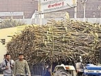 The mills are located in Nashik, Chhatrapati Sambhajinagar, Solapur and Satara districts. (REPRESENTATIVE PHOTO)