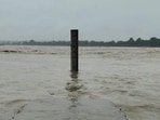 The water level was recorded at 339.50 metres on Sunday. (HT Photo)