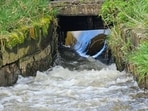 He estimated that nearly 18,000 million litres of wastewater are discharged every day, of which only 20 to 30 per cent is treated.