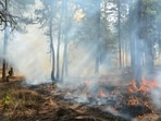 Maui County fire: Evacuation orders issued as blaze burns near Olowalu Village. (Representational photo)