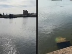 The woman highlighted the cleanliness of the river before shifting to the subject of Ganesh Visarjan. 