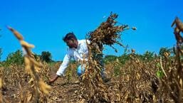 Farmers or data centres? Cong questions state’s water priorities amid drought Farmers or data centres? Cong questions state’s water priorities amid drought