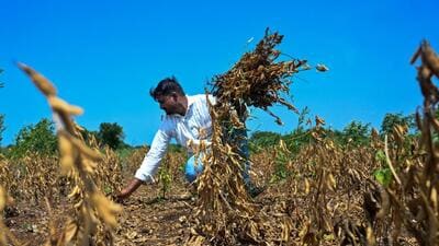 Farmers or data centres? Congress questions state’s water priorities amid drought. (Raju Shinde/HT Photo) Farmers or data centres? Congress questions state’s water priorities amid drought. (Raju Shinde/HT Photo)