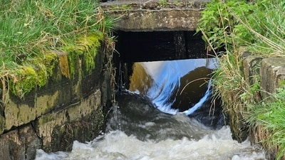 He estimated that nearly 18,000 million litres of wastewater are discharged every day, of which only 20 to 30 per cent is treated. (Representative Image/Unsplash)
