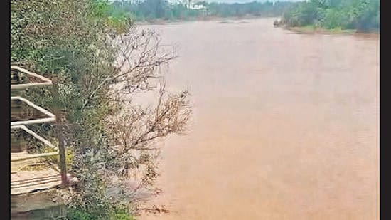 Murky Ulhasnagar river water chokes pumps, cuts water supply by 20%