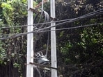 Rasra Circle Officer Rajnish Kumar said Sonu had been repairing an electricity connection after the damage due to strong winds and rain.