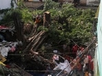 People sit on a tree that has been uprooted by a severe storm in Gorakhpur, Uttar Pradesh, India, September 27, 2026. REUTERS/Stringer