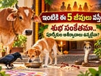 ఇంటికి ఈ 5 జీవులు వస్తే శుభ సంకేతమా.. పూర్వీకుల ఆశీర్వాదాలు ఉన్నట్టేనా?