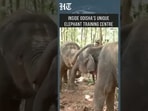 Odisha Centre Trains Kumki Elephants To Prevent Human-Elephant Conflict  | HT India