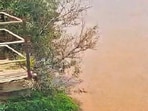 The river supplies drinking water to the four areas and has become increasingly murky since the beginning of the Ganesh festival, according to officials. 