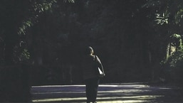 Broken walls, no CCTV, weak patrolling: How safe are Delhi parks after dark? Broken walls, no CCTV, weak patrolling: How safe are Delhi parks after dark?