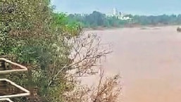 Ulhasnagar river sediment clogs pumps, cuts water supply to 4 Maharashtra areas by 20 per cent Ulhasnagar river sediment clogs pumps, cuts water supply to 4 Maharashtra areas by 20 per cent
