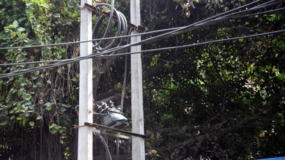 Rasra Circle Officer Rajnish Kumar said Sonu had been repairing an electricity connection after the damage due to strong winds and rain. (File Photo)