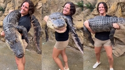 1. A viral video showed a woman zookeeper carrying a huge 250-pound alligator, leaving viewers stunned. (Instagram/thereptilezoo) 1. A viral video showed a woman zookeeper carrying a huge 250-pound alligator, leaving viewers stunned. (Instagram/thereptilezoo)