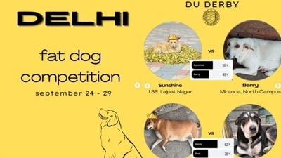 The Instagram account @fatdogsofdelhi had just a little more than a thousand followers when it initiated the competition, and today has 85.1K followers and counting.