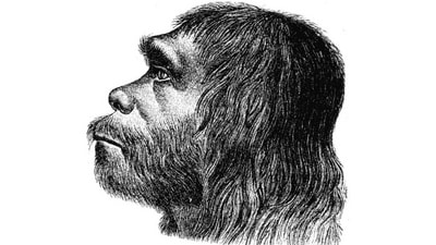 Neanderthal 1 or Feldhofer 1, considered the first artistic reconstruction of a Neanderthal, created by Hermann Schaaffhausen, who along with Johann Carl Fuhlrott, announced the discovery of the first Homo neanderthalensis. (The Mismeasure of Neanderthals. Earth History and Biodiversity. ) Neanderthal 1 or Feldhofer 1, considered the first artistic reconstruction of a Neanderthal, created by Hermann Schaaffhausen, who along with Johann Carl Fuhlrott, announced the discovery of the first Homo neanderthalensis. (The Mismeasure of Neanderthals. Earth History and Biodiversity. )