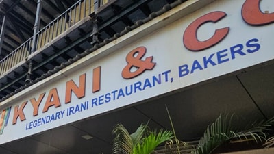 At Kyani & Co, officials found cats, rat droppings, live flies and dead cockroaches in food preparation and storage areas. (Instagram/ kyaniandco_official)