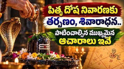 కాలసర్ప, పితృ దోషాల నుంచి విముక్తి పొందాలంటే.. శివుడికి ఇలా పూజ చేయండి!