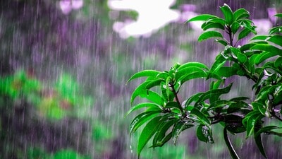 <p>తెలంగాణలో రెండు రోజులపాటు ఉరుములు, మెరుపులు, గంటకు 30-40 కి.మీ వేగంతో ఈదురుగాలులతో కూడిన వర్షాలు కురిసే అవకాశం ఉందని హైదరాబాద్ వాతావరణ కేంద్రం హెచ్చరించింది. పలు ప్రాంతాలకు ఎల్లో హెచ్చరికలు జారీ అయ్యాయి.</p> <p>తెలంగాణలో రెండు రోజులపాటు ఉరుములు, మెరుపులు, గంటకు 30-40 కి.మీ వేగంతో ఈదురుగాలులతో కూడిన వర్షాలు కురిసే అవకాశం ఉందని హైదరాబాద్ వాతావరణ కేంద్రం హెచ్చరించింది. పలు ప్రాంతాలకు ఎల్లో హెచ్చరికలు జారీ అయ్యాయి.</p>