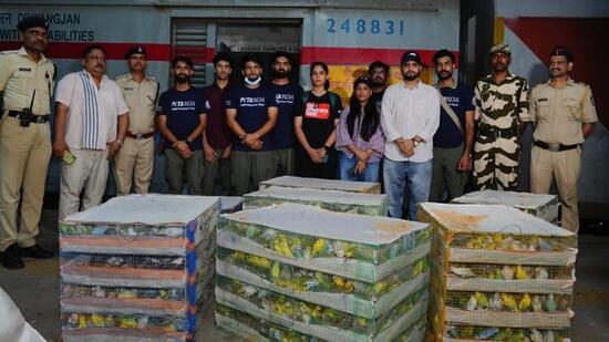Court hands custody of birds rescued from cramped cages to Raigad animal trust