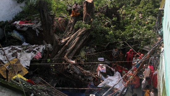 People sit on a tree that has been uprooted by a severe storm in Gorakhpur, Uttar Pradesh, India, September 27, 2026. REUTERS/Stringer