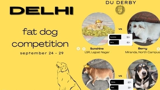The Instagram account @fatdogsofdelhi had just a little more than a thousand followers when it initiated the competition, and today has 85.1K followers and counting.
