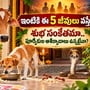 ఇంటికి ఈ 5 జీవులు వస్తే శుభ సంకేతమా.. పూర్వీకుల ఆశీర్వాదాలు ఉన్నట్టేనా?