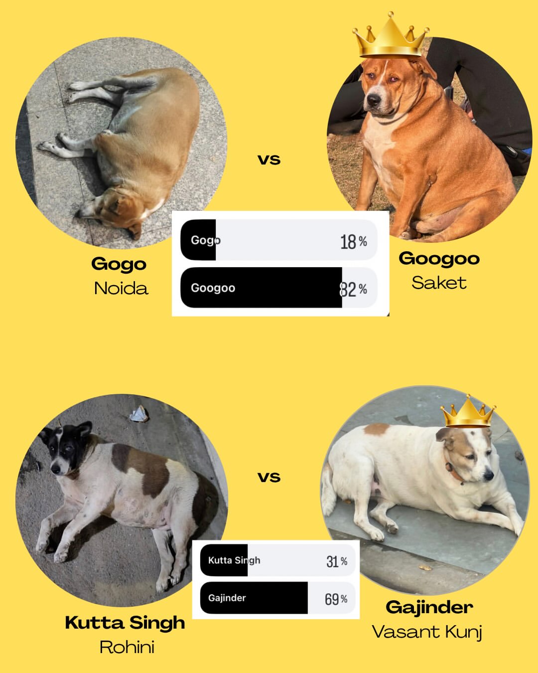 It has been a tough fight between the contenders as their humans are rooting for these munchkins in their localities to win the title!