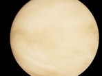 A representative image of the planet Venus.(Pexels)