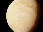 A representative image of the planet Venus.