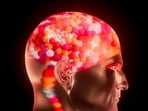 Dr Kunal Sood lists four known brain boosters. 