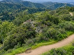 Alex Trebek's 1998 gift of 74 acres in the Hollywood Hills to the Santa Monica Mountains Conservancy created a vital wildlife corridor for bobcats and coyotes.