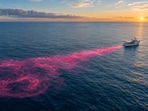 A scientific trial in August 2025 involved releasing sodium hydroxide into the Gulf of Maine to enhance ocean alkalinity.(AI-generated/ChatGPT)