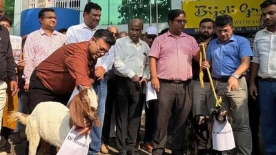 সল্টলেকে চিকিৎসকদের বিক্ষোভে পূর্ব বর্ধমানের সন্তানহারা দম্পতি (সৌজন্যে এক্স )