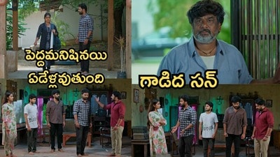 పొదరిల్లు సీరియల్ సెప్టెంబర్ 29 ఎపిసోడ్ పొదరిల్లు సీరియల్ సెప్టెంబర్ 29 ఎపిసోడ్
