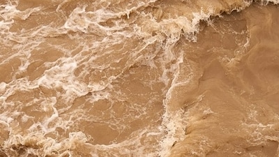 Representational. (Unsplash)