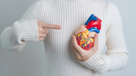 Longevity expert Dr Vassily Eliopoulos follows five daily habits for cardiovascular health.