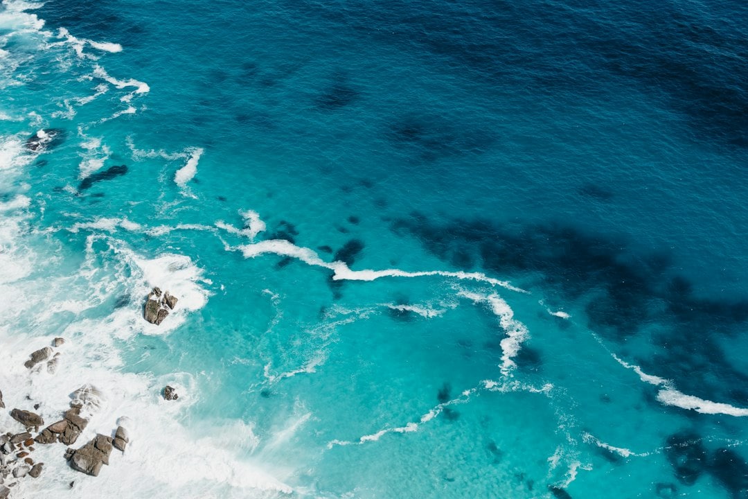 The ocean absorbs a large share of the carbon dioxide we release, which slowly makes seawater more acidic. (Representational/Unsplash)