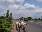 A man walks along the highway in Khordha, Odisha, India, on Friday (Bloomberg/Representative Image)