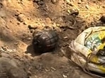 A police team, including the Nalagarh superintendent of police, Baddi, Vinod Dhiman, reached the spot and cordoned off the area after evacuating houses within a 50-70 m radius where the grenade was found.