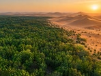 China has planted about 66 billion trees since 1978 to slow the spread of deserts.