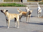 Dogs (HT File)