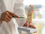 Spinal cord 