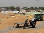 The relatively small increase in wheat comes against a backdrop of elevated government stocks. (HT FILE PHOTO)