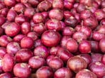 ఉల్లిపాయలు
