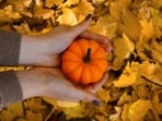 October 2026 horoscope.