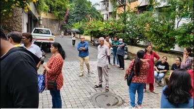 Lulla Nagar hsg society, animal lovers spar over feeding spot for stray dogs