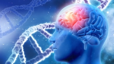 Dr Priyanka Sehrawat discusses the impact of vitamin B12 deficiency on nerve health. (Freepik) Dr Priyanka Sehrawat discusses the impact of vitamin B12 deficiency on nerve health. (Freepik)